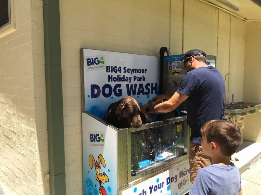 Dog Washer Machine at BIG4 Seymour Holiday Park